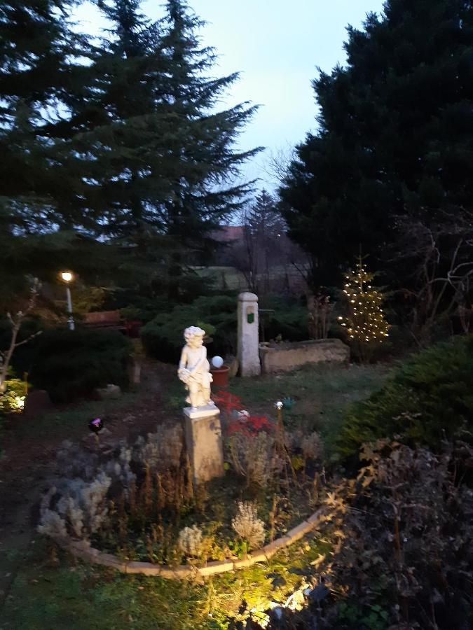 Villa-Magdi Vendeghaz 레브풀롭 외부 사진