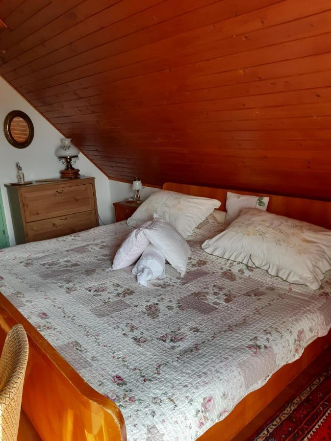 Villa-Magdi Vendeghaz 레브풀롭 외부 사진