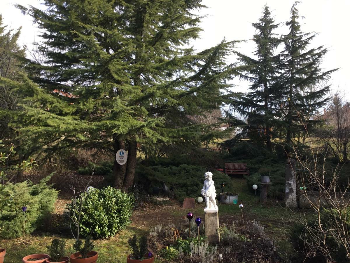 Villa-Magdi Vendeghaz 레브풀롭 외부 사진