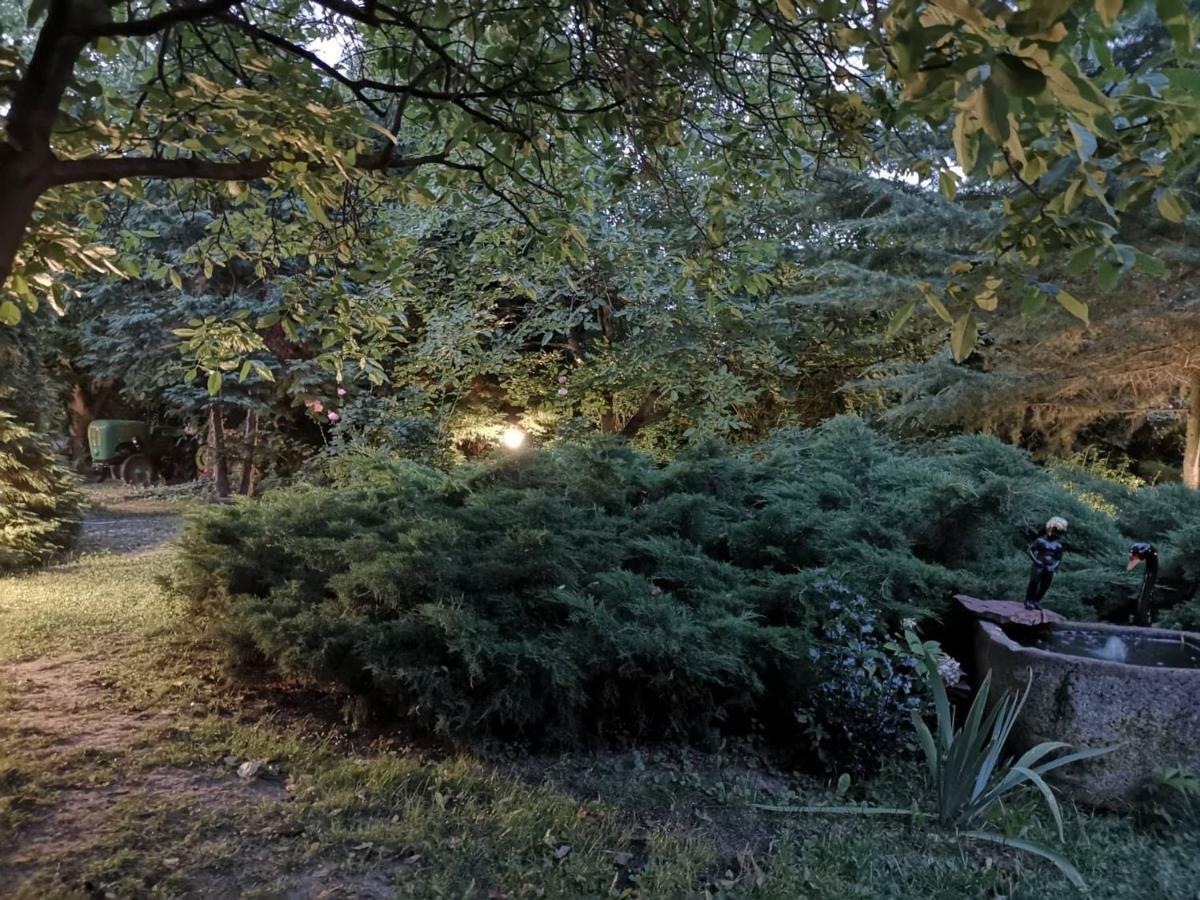 Villa-Magdi Vendeghaz 레브풀롭 외부 사진