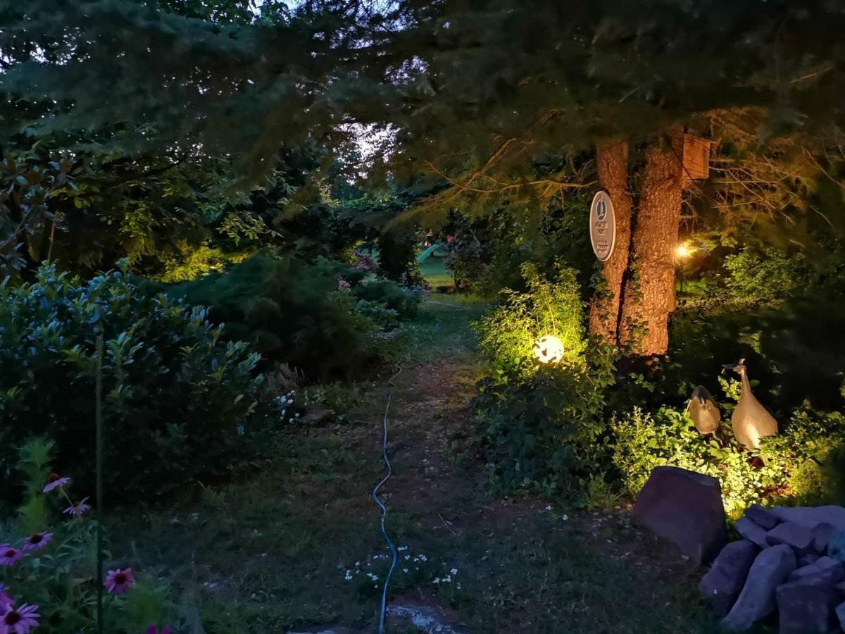 Villa-Magdi Vendeghaz 레브풀롭 외부 사진
