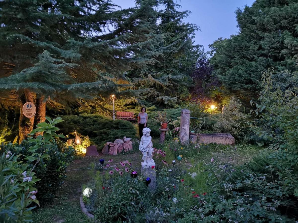 Villa-Magdi Vendeghaz 레브풀롭 외부 사진